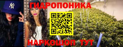метадон Донской