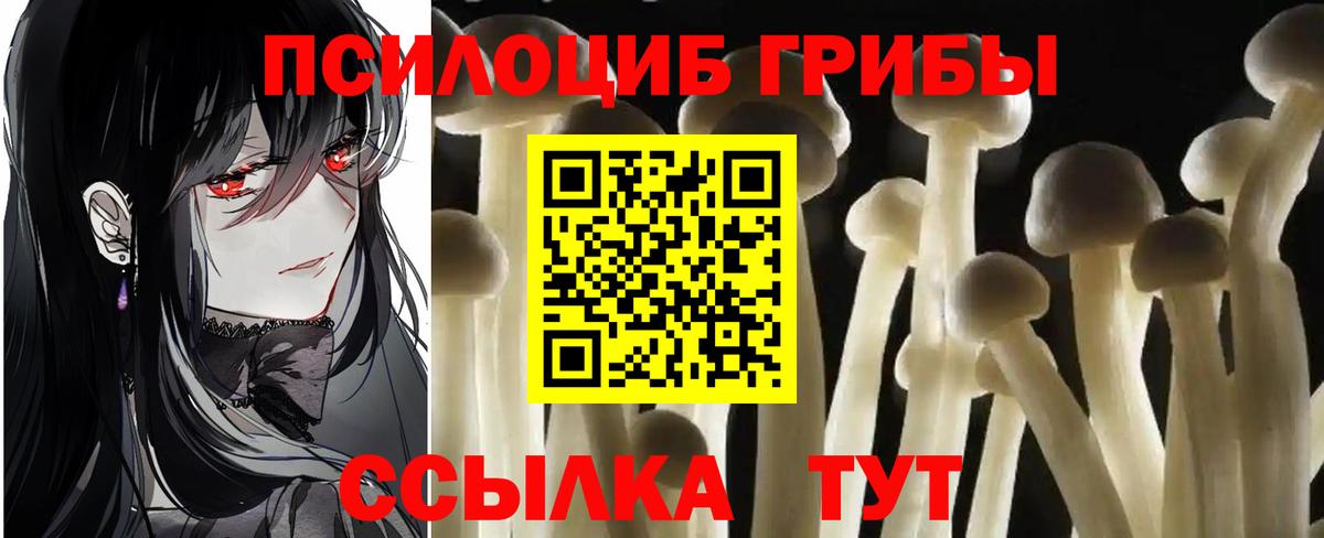 Галлюциногенные грибы прущие грибы Минеральные Воды